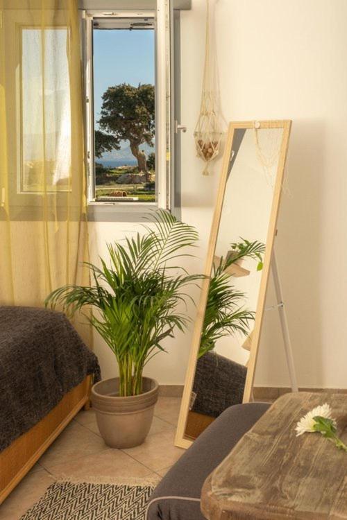 Anatoli Apartamento