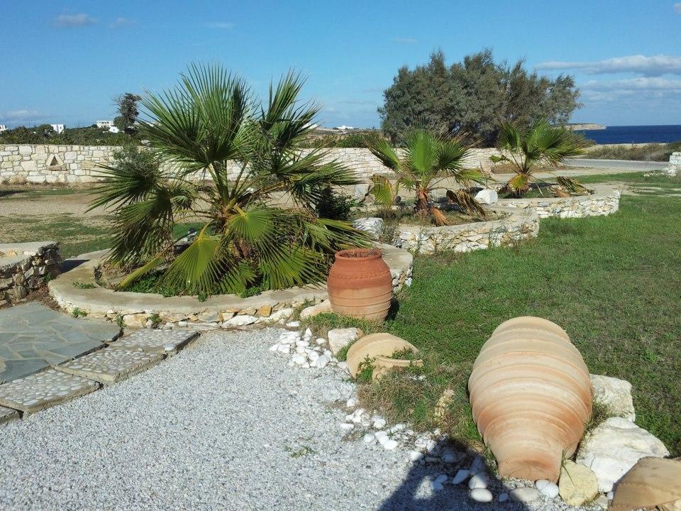 Apartment Anatoli Ampelas